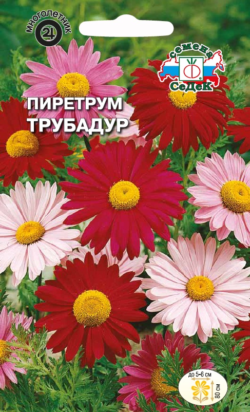 Семена цветов - Пиретрум Трубадур  0,1 гр.
