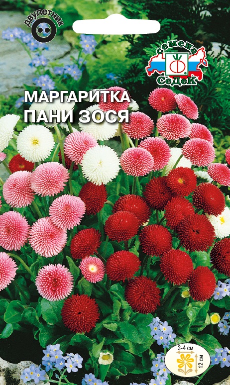 Семена цветов - Маргаритка Пани Зося  0,04 гр.
