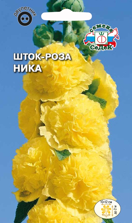 Семена цветов - Шток-Роза Ника  0,1 гр.