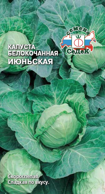 Семена - Капуста Июньская Белокачанная 0,5 гр.