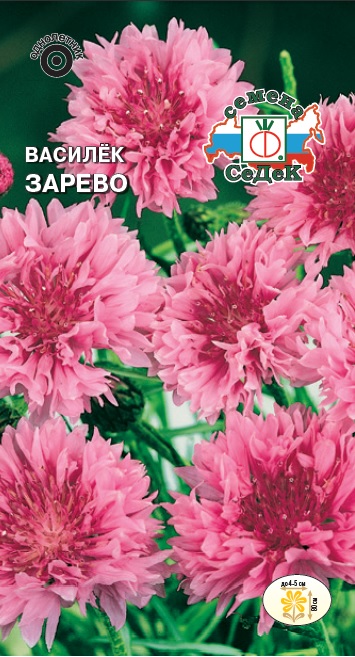 Семена цветов - Василек Зарево  0,5 гр.