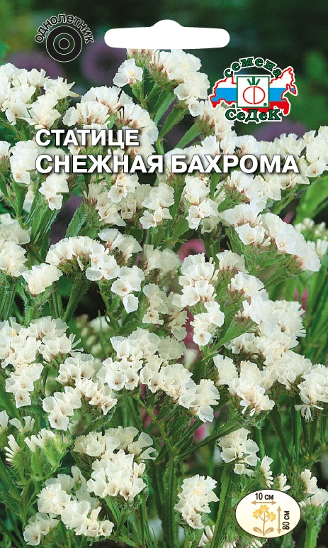 Семена цветов - Статице Снежная Бахрома  0,2 гр.