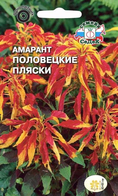 Семена цветов - Амарант Половецкие Пляски  0,1 гр.