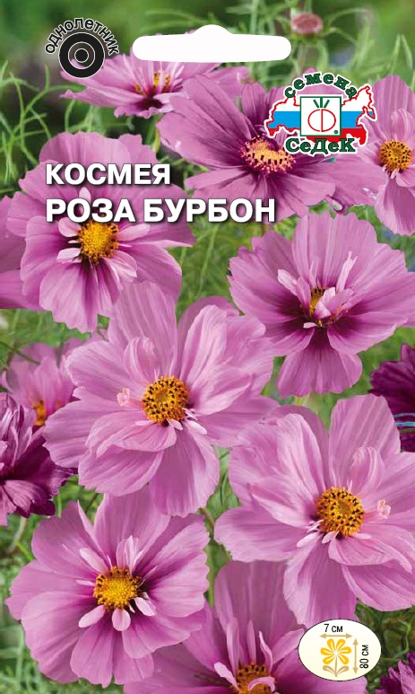 Семена цветов - Космея Роза Бурбон  0,04 гр.