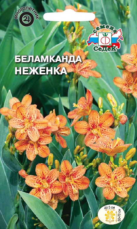 Семена цветов - Беламканда Китайская Неженка 0,2 г - 2 пакета
