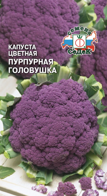 Семена - Капуста Пурпурная Головушка Цветная 0,5 гр.