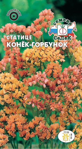 Семена цветов - Статице Конек-Горбунок  0,2 гр.