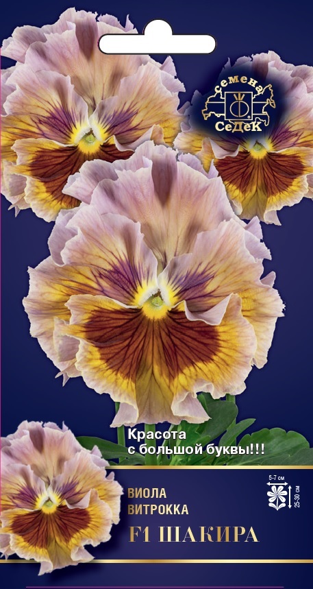Семена цветов - Виола Шакира F1 5 шт - 2 пакета