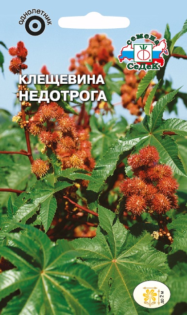 Семена цветов - Клещевина Недотрога  2 гр.