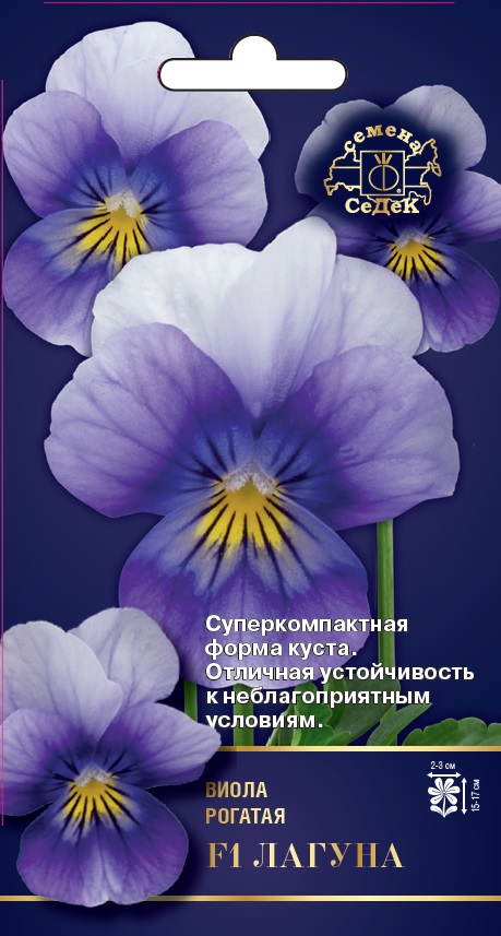 Семена цветов - Виола Лагуна F1 5 шт - 2 пакета