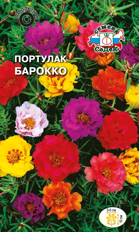 Семена цветов - Портулак Барокко  0,1 гр.